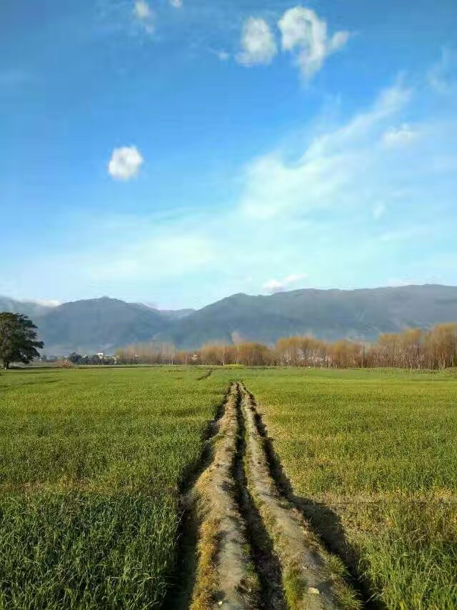 無(wú)標(biāo)題.png
